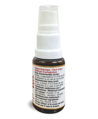 Vaporisateur gorge propolis rouge de Dalbergia