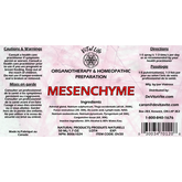 Mesenchyme