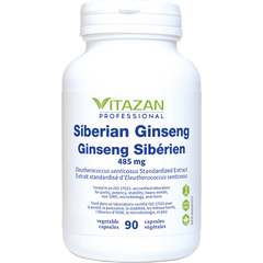 Siberian Ginseng