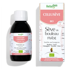 CELLUSÈVE - G21
