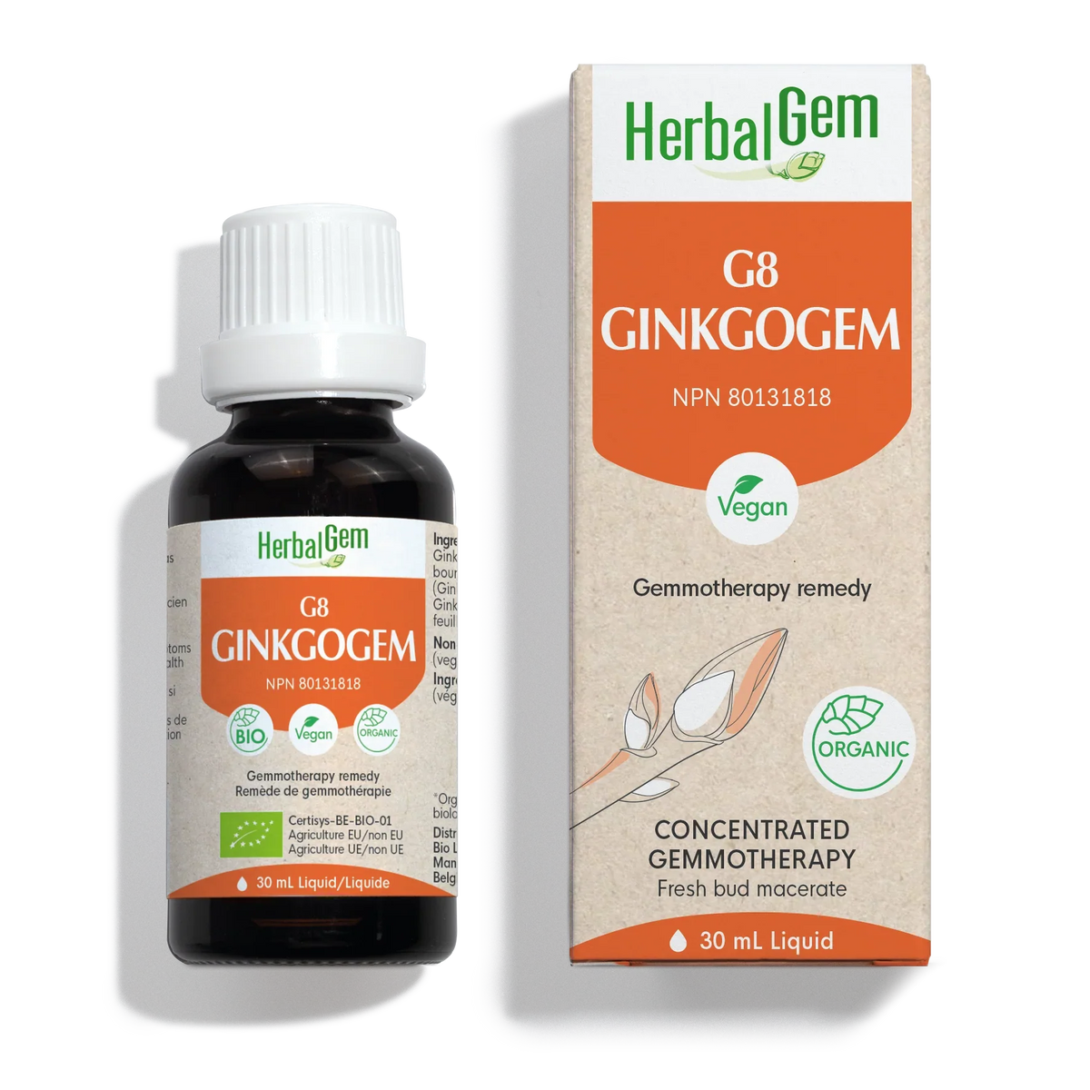G8 GINKOGEM