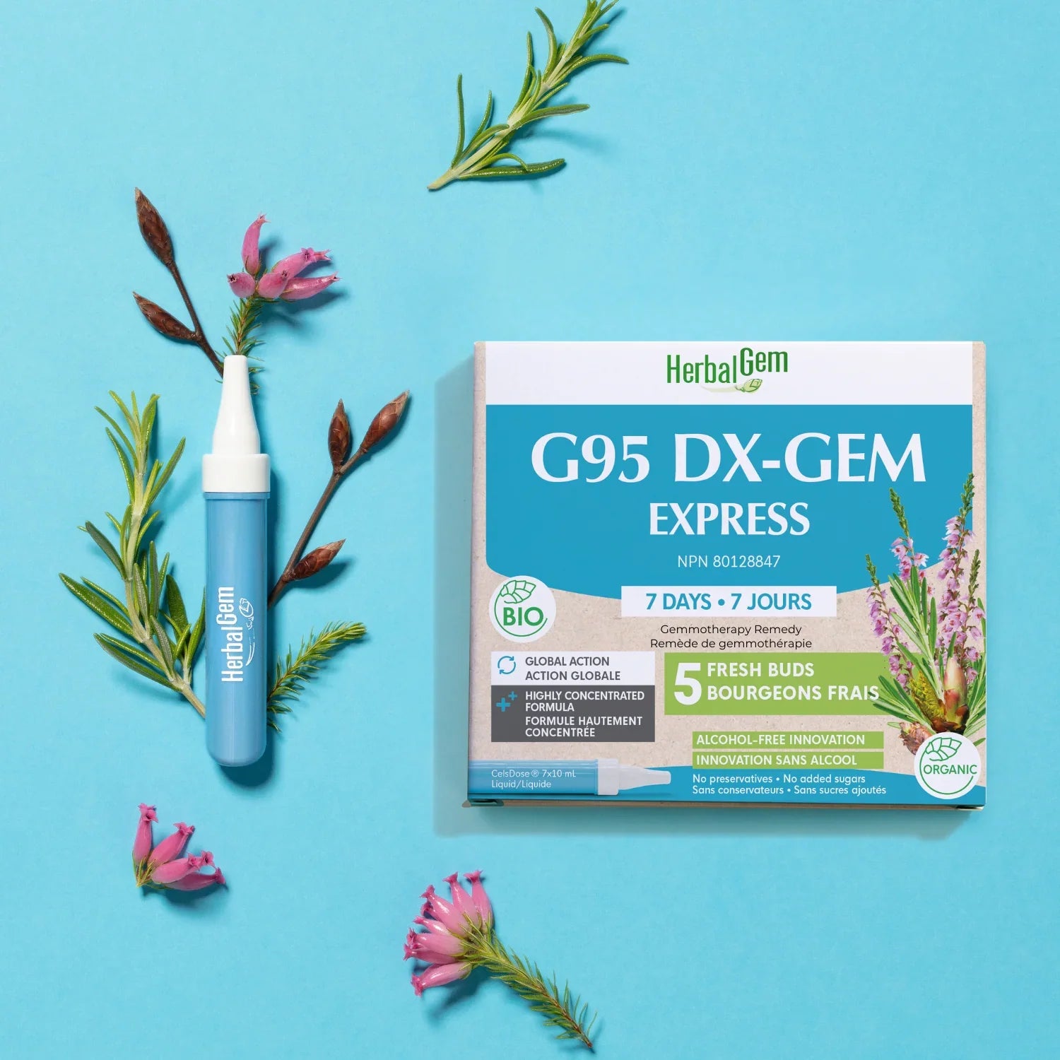 G95 DX-GEM EXPRESS - 7 jours