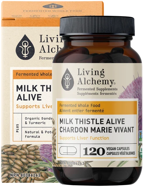 Chardon Marie Vivant