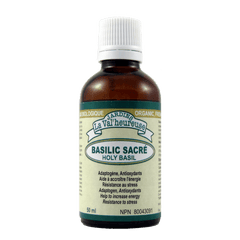 Basilic sacré