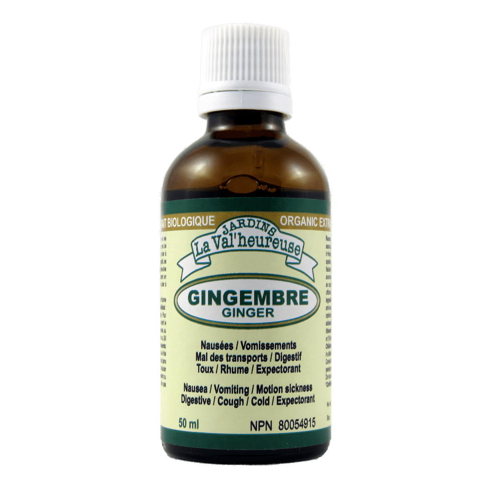 Gingembre